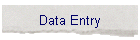 Data Entry